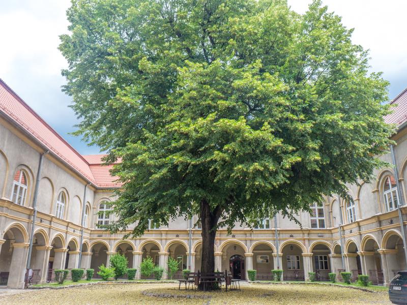 E-urzędy Krapkowice