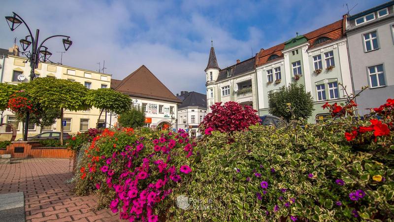 Przygotowanie do wizyty w urzędzie