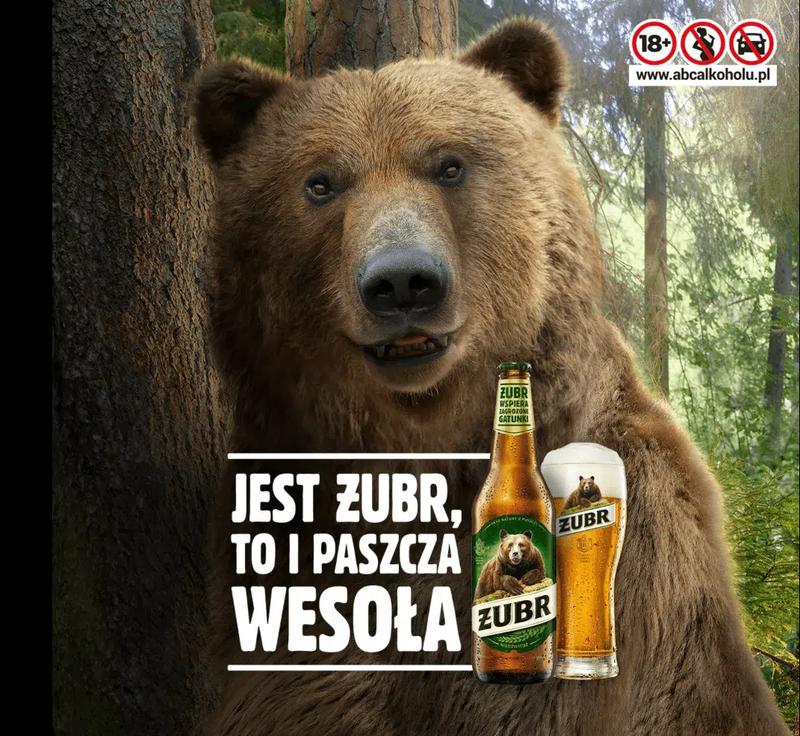 Strategie reklamy firmy