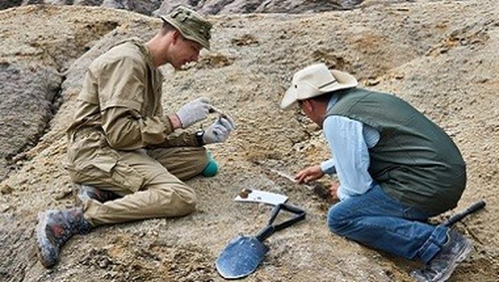 Zarobki paleontologów