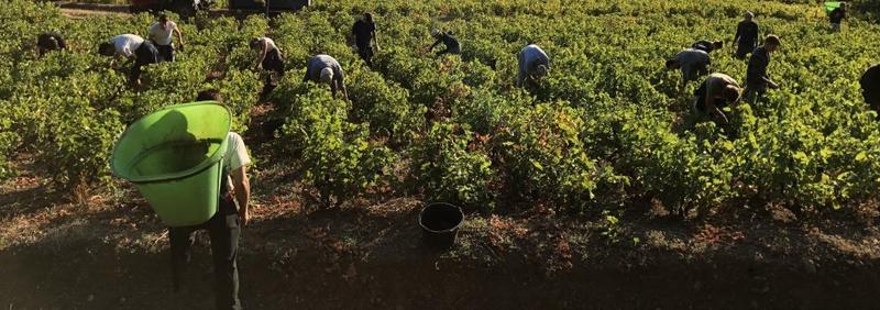 Porównanie wynagrodzeń w zawodach we Francji