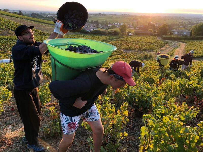 Jakie są realne zarobki we Francji? Przewodnik po wynagrodzeniach i kosztach życia