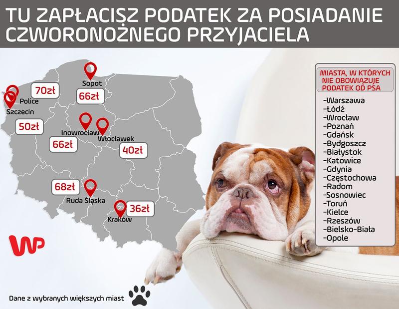 Kontrowersje podatkowe