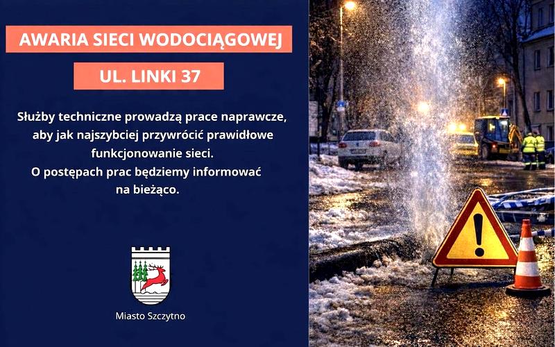 Rodzaje linków