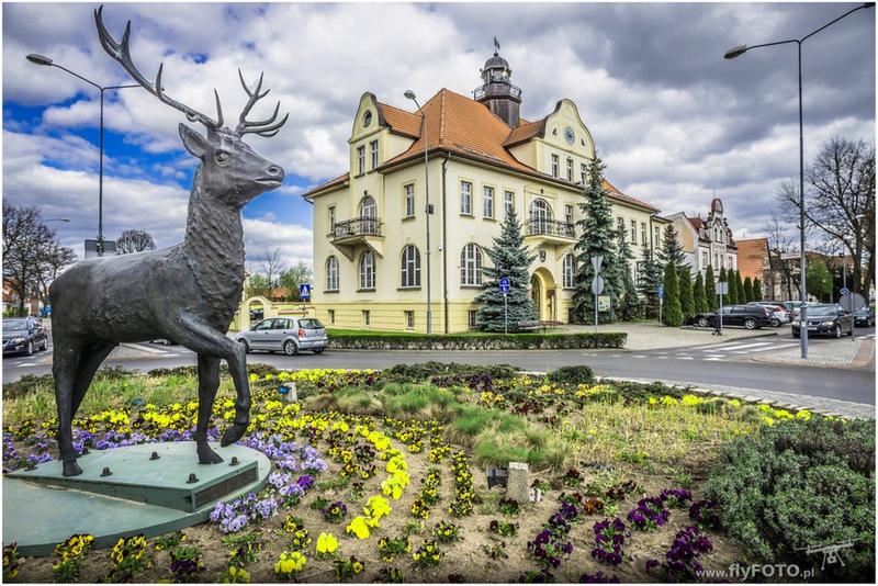 Skargi i wnioski skarbowe