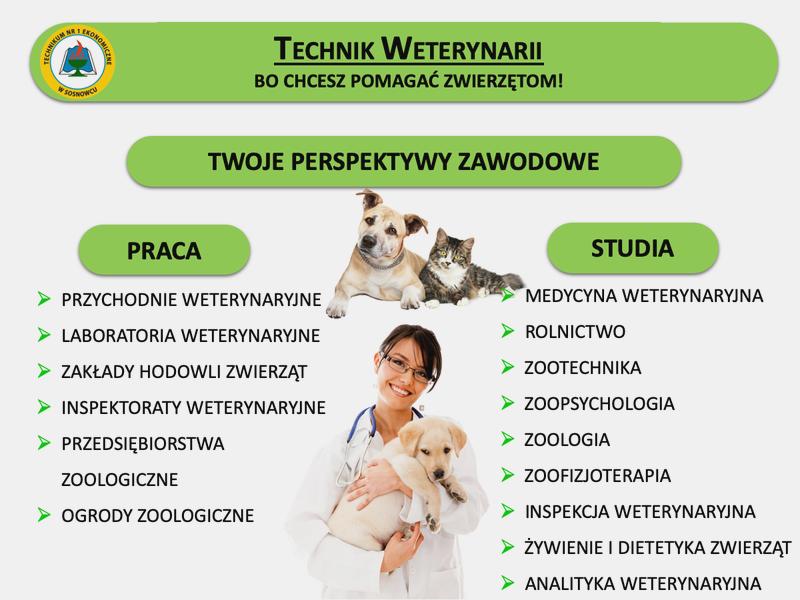Zarobki techników weterynarii